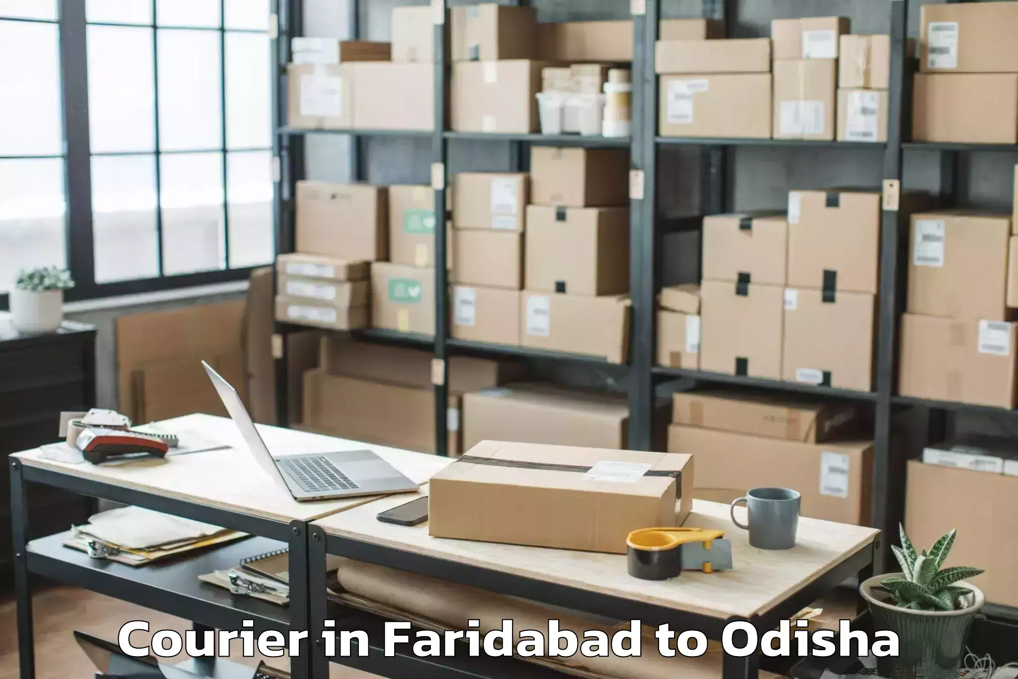 Book Faridabad to National Law University Odisha Courier Online